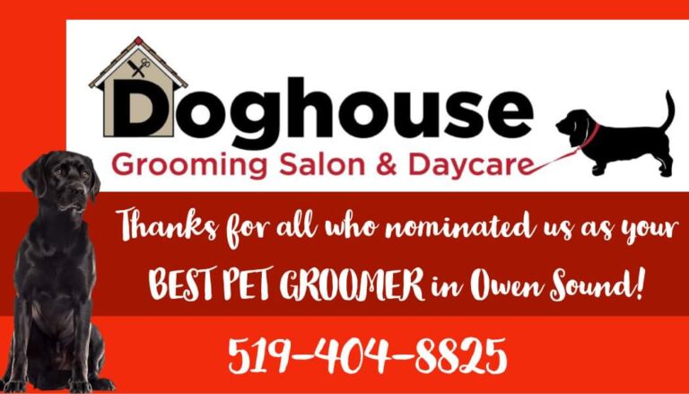 Doghouse Grooming Salon & Daycare – Grooming Salon & Daycare For Dogs